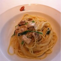 IL PINOLO 銀座 - 鶏のラグークリームソース