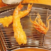 てんぷら 山の上 Roppongi 東京ミッドタウン店 - 活き海老