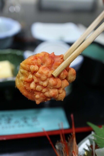 津の宮荘 - 志津川（旅館・民宿）の写真