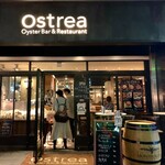 Ostrea - 