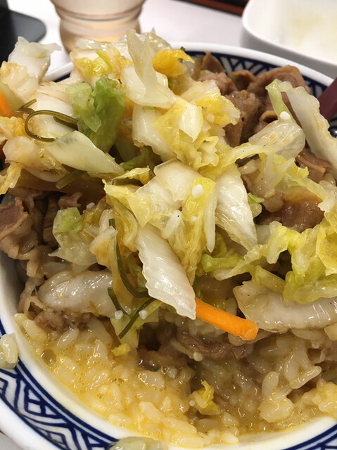吉野家 ｊｒ西九条駅店 西九条 牛丼 食べログ