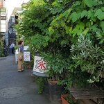 かき氷屋 川久 - 森のようなプチガーデン下北沢