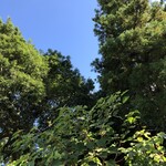 はらまさ - 青い空でした