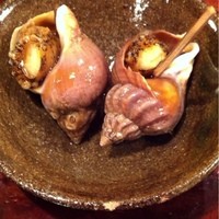 江戸心 山ぼうし - 