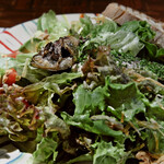 Varmen - イワシのコンフィの山盛りグリーンサラダ