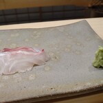 鮨 おおが - 明石の鯛