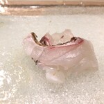 うを徳 - 明石 鯛