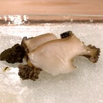 うを徳 - 新潟 鮑 + 鮑の肝