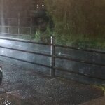 カフェ・サンクチュアリ - 