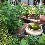 ナチュランド･シルフレイ - 