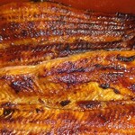 神田きくかわ 神田店 - 