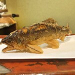 江戸前晋作 - 鮎