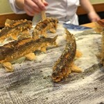 江戸前晋作 - 鮎