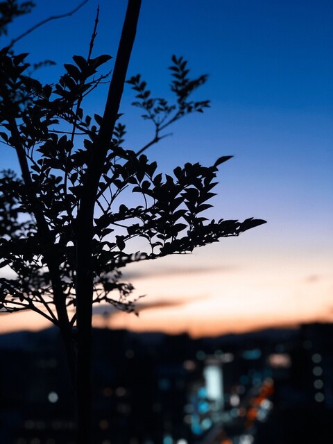 The Photo Of Interior In The Moon Tabelog The Photo Of Interior In The Moon Tabelog