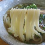 手打ちうどん 天婦羅 はなどり - エッジの立ったきれいなうどん