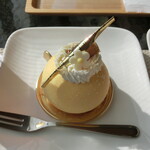 シンフラ - マンゴー