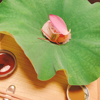 菊乃井 本店 - 