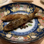 麻布十番 秦野よしき - 