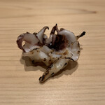 麻布十番 秦野よしき - 