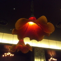 CANNA - 