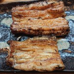 かぶと - 上  天然 九州天草