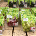 バスあいのり 3丁目テラス - 