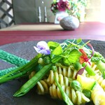 RISTORANTE ALVERO - 料理写真:季節野菜のフジッリ、緑のソース。