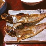 せっちゃんのエクスペリヤンスの家 - はたはた