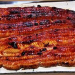 うなぎ 魚政 - 蒲焼