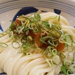 Udon Koubou Tenkuu - 