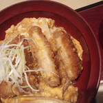Kashu nan - カツ丼