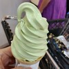 matcha LOVE by ITO EN - 料理写真: