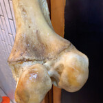 一条流がんこ総本家分家四谷荒木町 - 