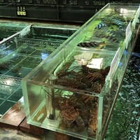 博多料亭 稚加榮 - 