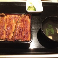 うなぎ 目白ぞろ芽 - 