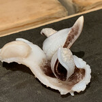 千成寿司 - 生鳥貝