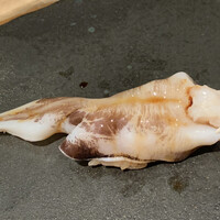 千成寿司 - 鳥貝