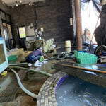 活魚料理 びんび家 - 