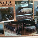 とんかつ 栄ちゃん - 