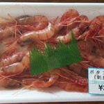 本原商店 - ボタンエビ(税込)300円 (2020.09.05)