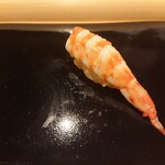 鮨 むらやま - 車海老