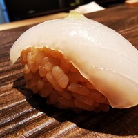 恵比寿 鮨 栞庵 やましろ - アオリイカ