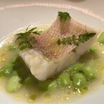 レフェルヴェソンス - 乳清で加熱した甘鯛とその骨のフュメ　だだちゃ豆　山椒　甘鯛のお出汁に昆布出汁、そこにトマトのジュースが合わさったすっきとしたスープが甘鯛の旨味と重なり素晴らしい味わいです♪