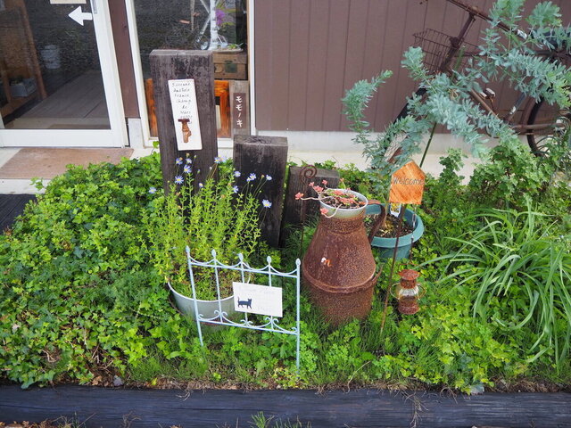 モモノキ - 福島（カフェ）の写真