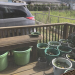 手打ちそば秀ちゃん - 