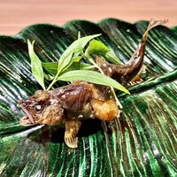 炭火割烹 いふき - 子持ち鮎〜蓼酢は要らないくらい塩加減が素晴らしい。皮はパリパリで、中の身はホロホロ。お腹から綺麗な卵が。迫力ある焼き方が素晴らしい。