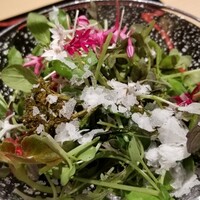 鳥匠 いし井 - (12)15種類のハーブ(広島県・梶谷農園)&スティックセニョールのサラダ、淡雪塩掛け
                      梶谷農園はカンテサンスにも納入するハーブ園で多種多様なハーブを栽培しています
                      やはり香りが素晴らしい！