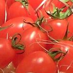 焼き鳥 とりひろ - 塩トマト　アイコ