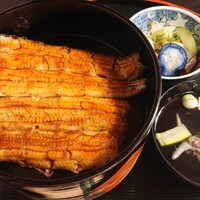 うなぎ秋本 -  うなぎ秋本 -