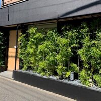 耽美 下村 - 